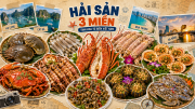 HẢI SẢN 3 MIỀN VIỆT NAM: NHỮNG MÓN NGON NHẤT ĐỊNH PHẢI THỬ KHI ĐI BIỂN