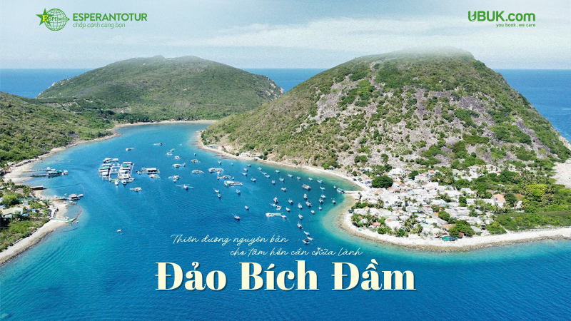 BÍCH ĐẦM – VIÊN NGỌC XANH HOANG SƠ GIỮA VỊNH NHA TRANG