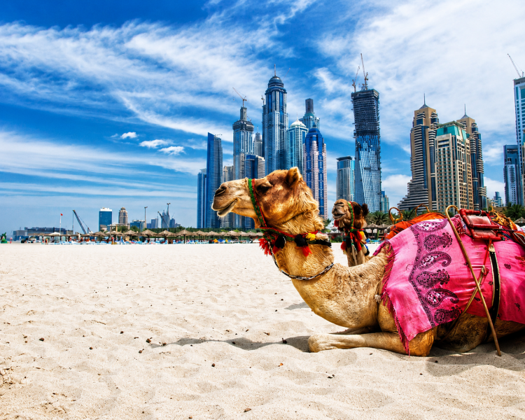 CHÍNH SÁCH VISA UAE 2026: MỘT SỐ CÔNG DÂN VIỆT NAM ĐƯỢC XIN VISA ON ARRIVAL