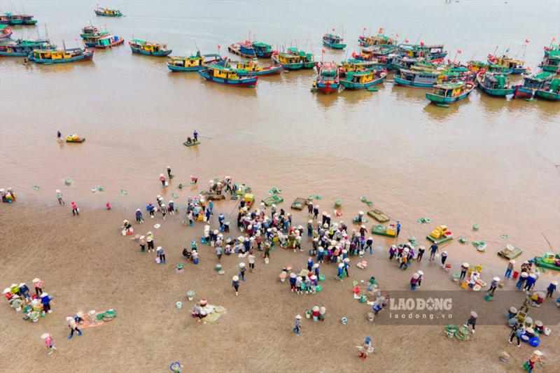 5 ĐIỂM DU LỊCH HÈ THÚ VỊ CHƯA NHIỀU NGƯỜI BIẾT Ở MIỀN BIỂN NAM ĐỊNH