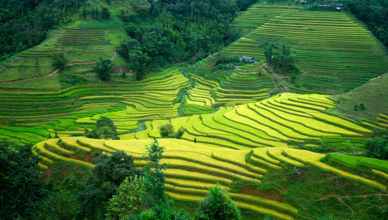 5 SỰ THẬT VỀ HÀ GIANG CÓ THỂ CHƯA AI NÓI CHO BẠN