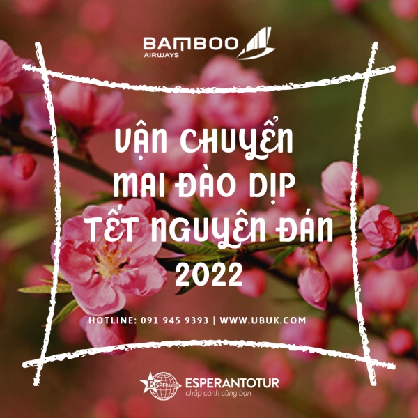 BAMBOO AIRWAYS VẬN CHUYỂN MAI ĐÀO DỊP TẾT NGUYÊN ĐÁN 2022 