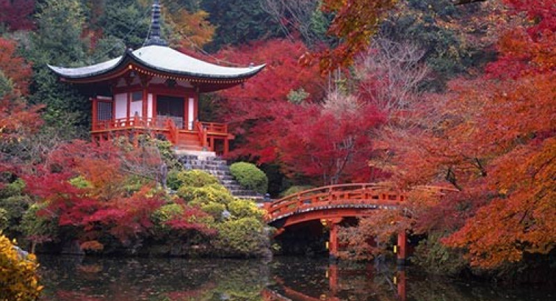 Mọi điều bạn cần biết về mùa lá thu ở Kyoto