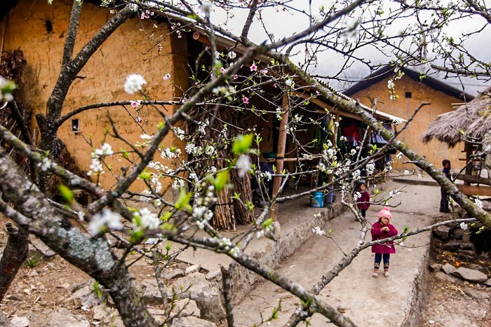 PHỐ CÁO - VIÊN NGỌC BÌNH YÊN GIỮA LÒNG HÀ GIANG