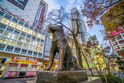 KHÁM PHÁ MÙA LÁ ĐỎ NHẬT BẢN TOKYO – FUJI – TOKYO CITY TOUR