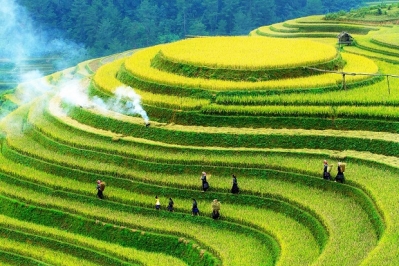 HÀ NỘI – MÙ CANG CHẢI – NGỌC CHIẾN– HÀ NỘI